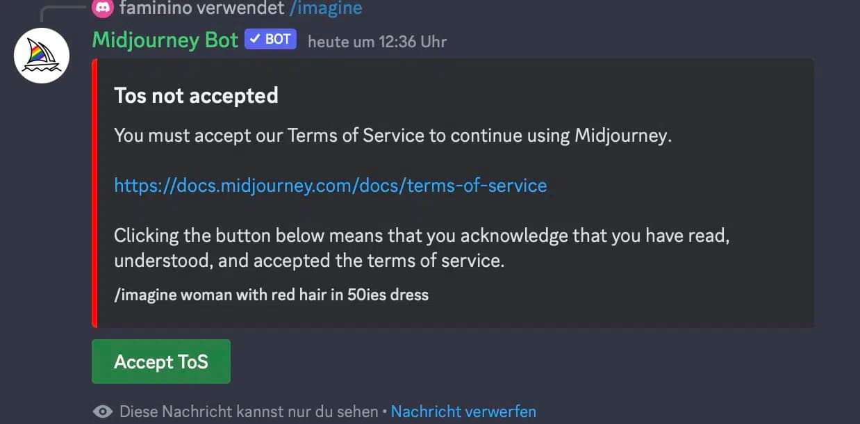 Midjourney Terms of Service Akzeptierung