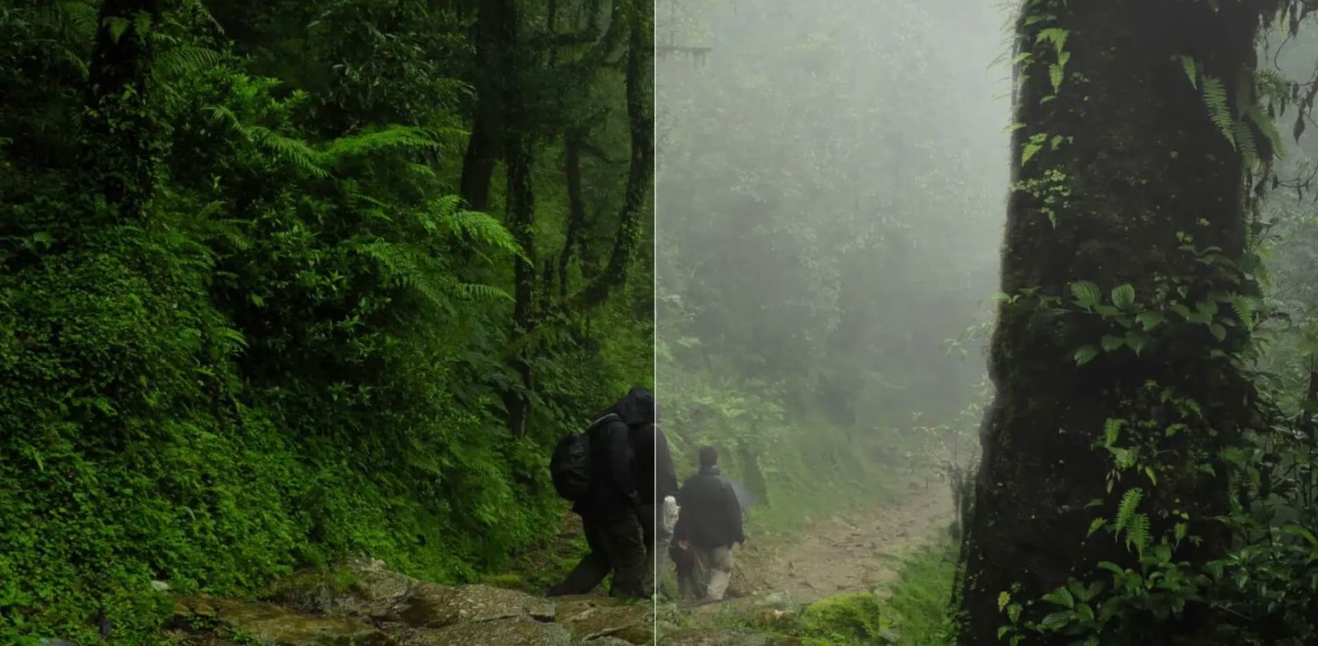 Luminar Neo adding fog with AI