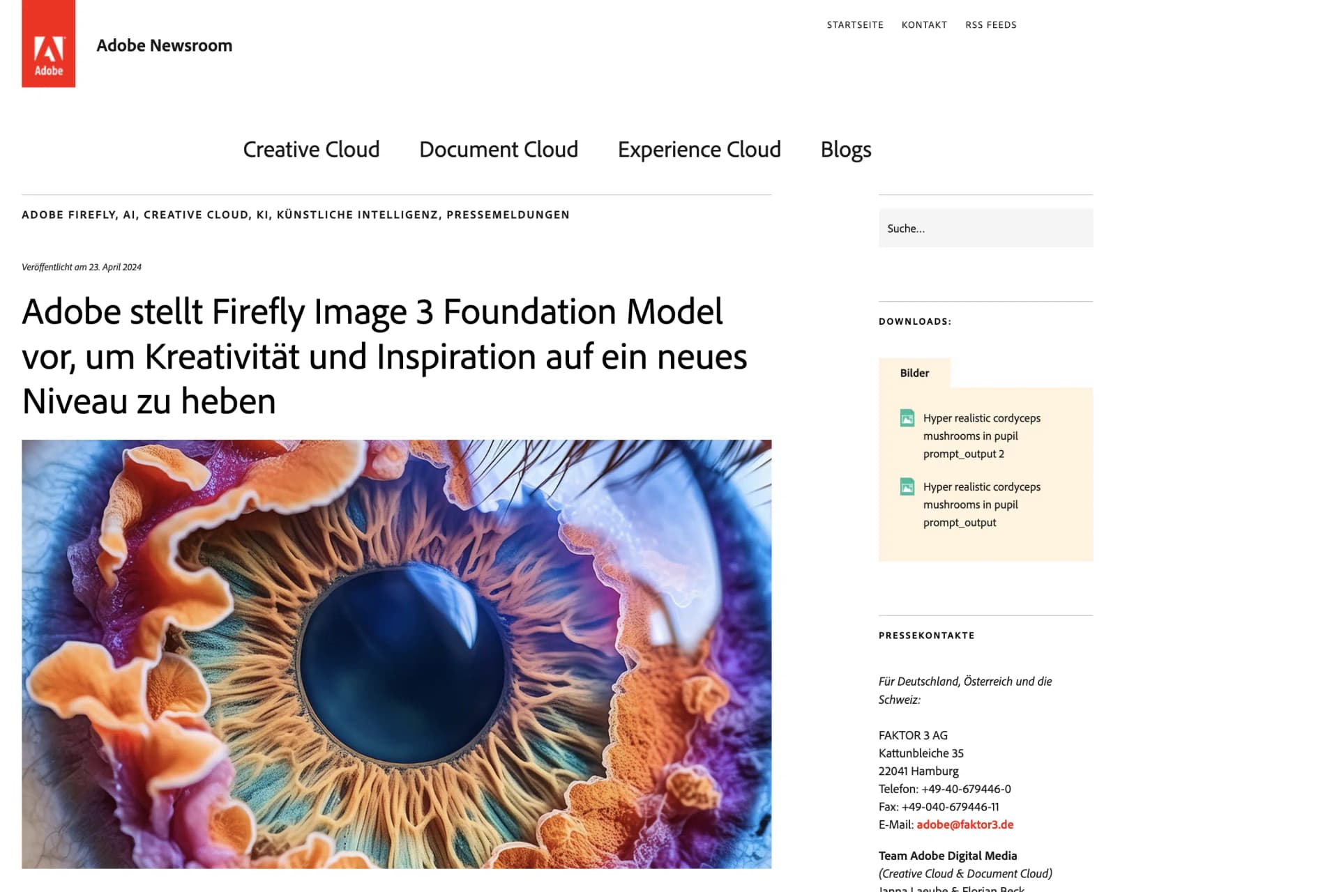 Adobe Firefly Image 3