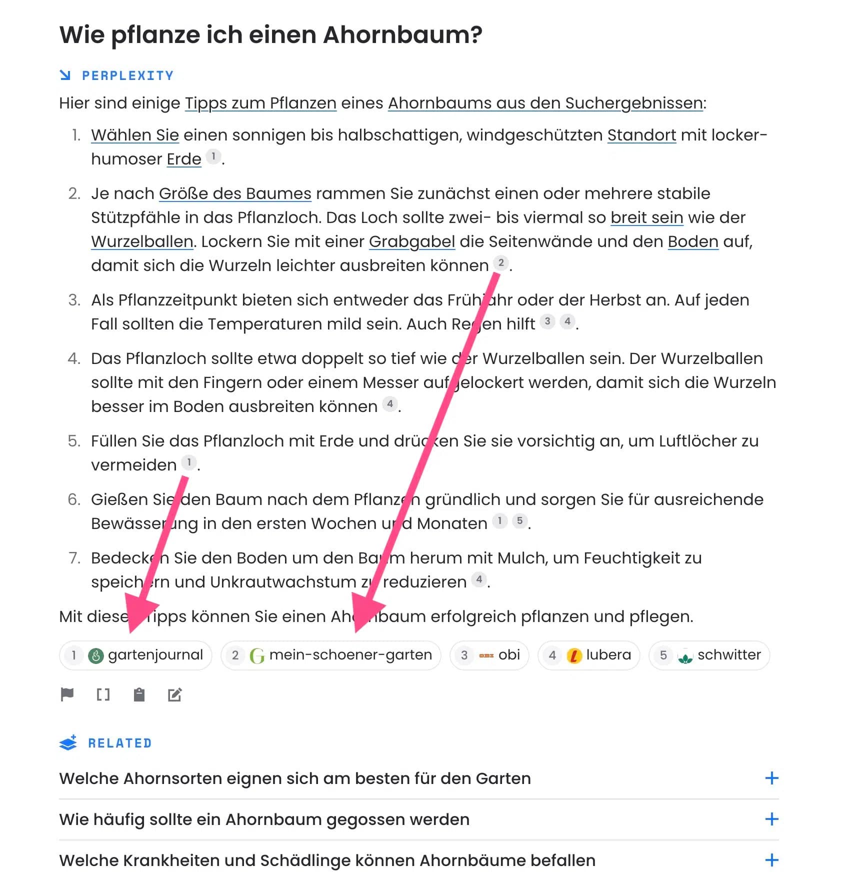AI-generated chat response from Perplexity with internet sources