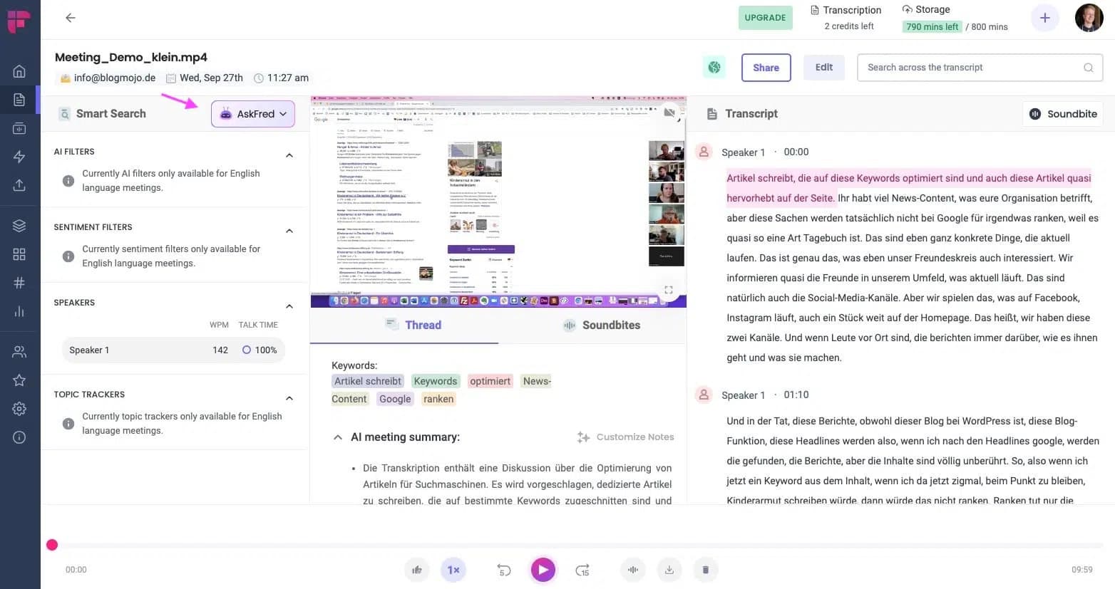 Fireflies AI Interface