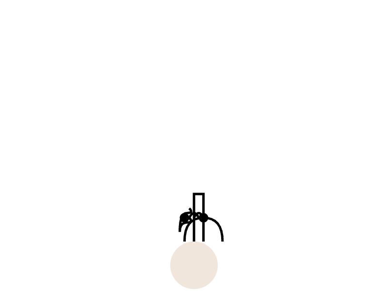 Amazon Nova Micro: SVG short test