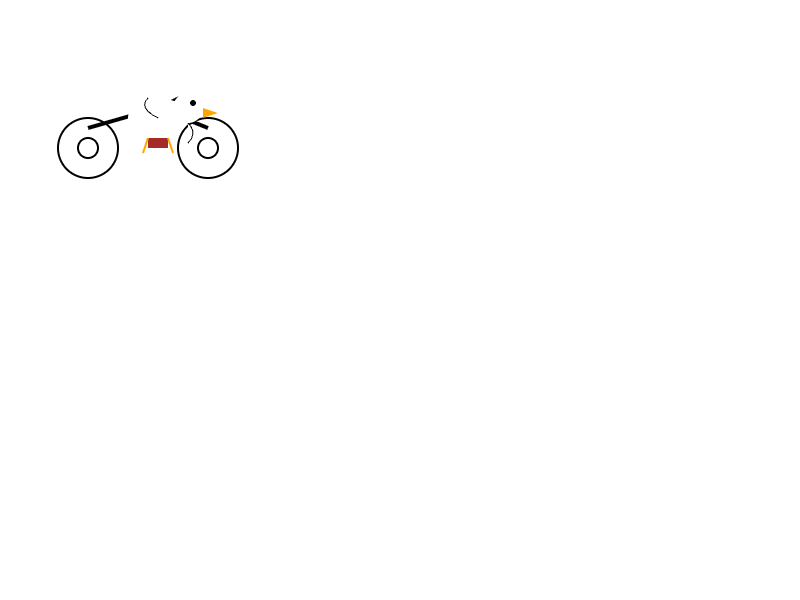 Qwen3-Coder 30B-A3B Instruct: Pelikan auf dem Fahrrad