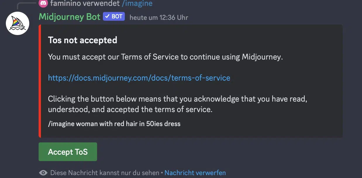 Midjourney Terms of Service Akzeptierung