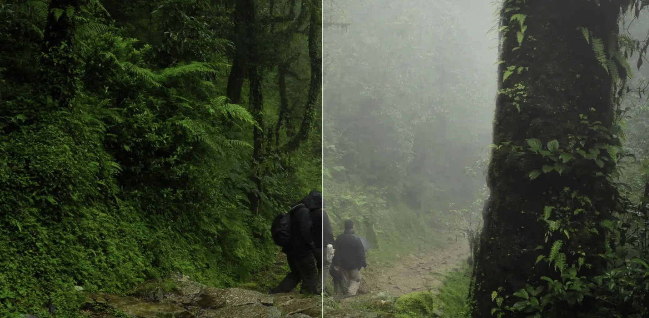 Luminar adding fog with AI