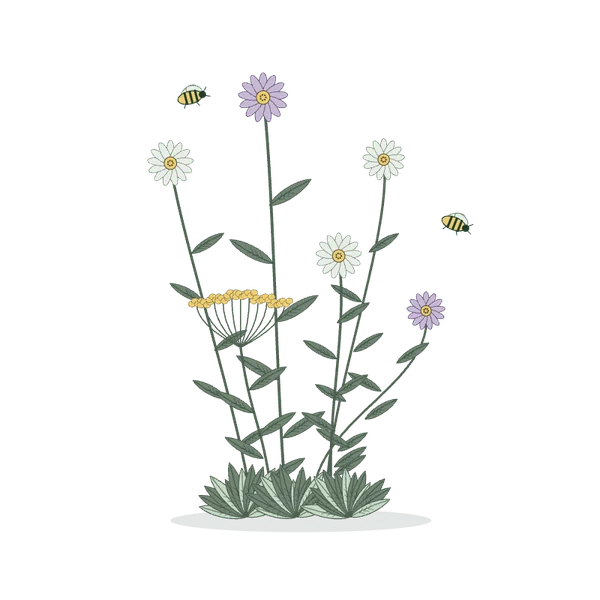 Eigenständige botanische Zeichnung heller Blüten, violetter Blütenköpfe und zweier Wildbienen.